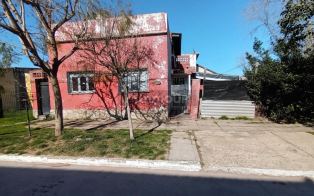 Merlo Campillo al 600