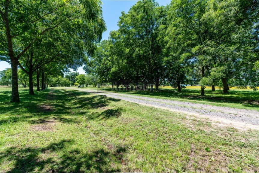 Terreno en Venta en Ezeiza, G.B.A. Zona Sur