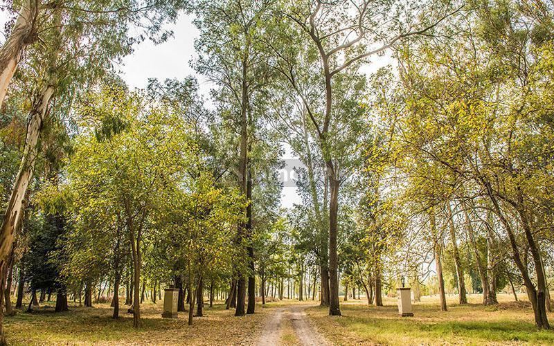 Terreno en Venta en Ezeiza, G.B.A. Zona Sur