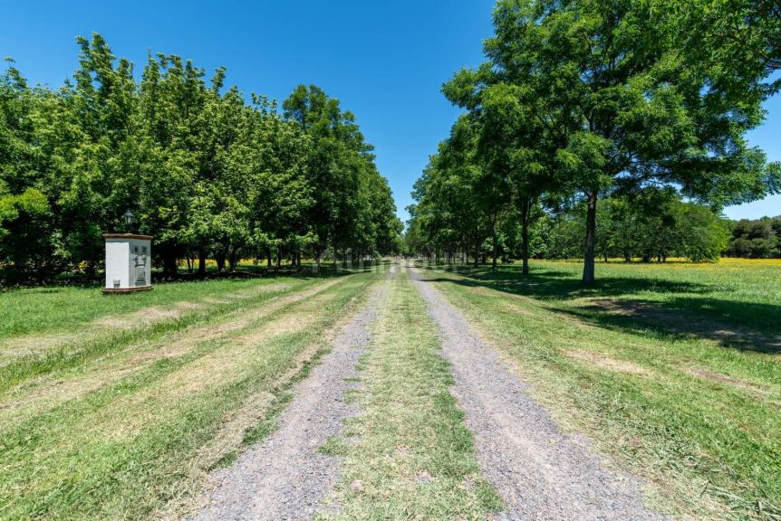 Terreno en Venta en Ezeiza, G.B.A. Zona Sur