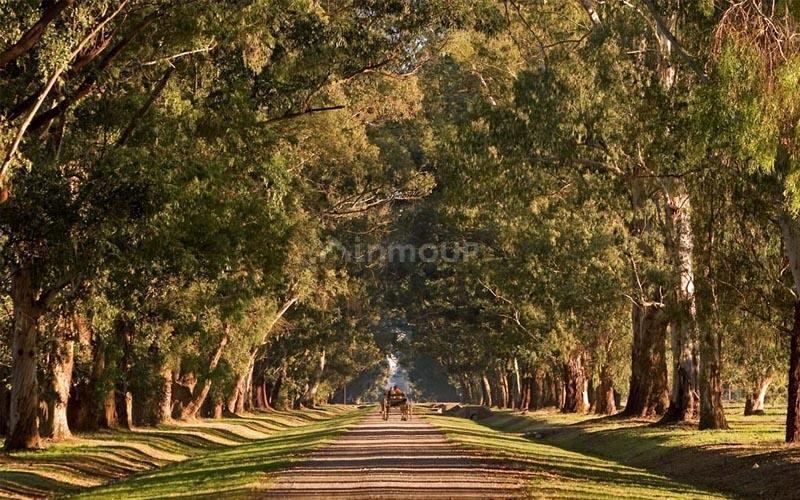 Terreno en Venta en Ezeiza, G.B.A. Zona Sur