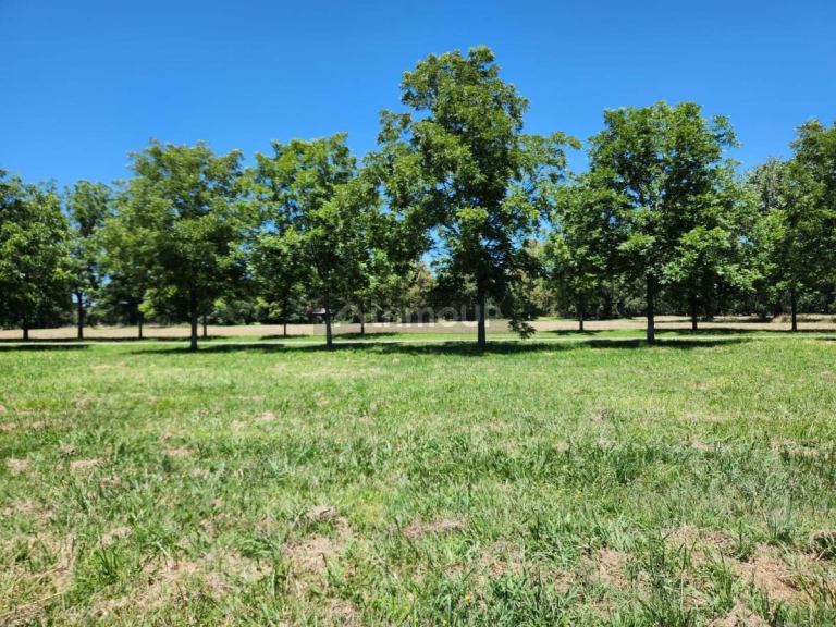Terreno en Venta en Ezeiza, G.B.A. Zona Sur