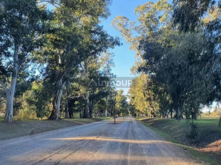 Terreno en Venta en Ezeiza, G.B.A. Zona Sur
