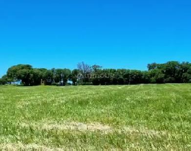 Terreno en Venta en Mar del Plata, Buenos Aires Interior