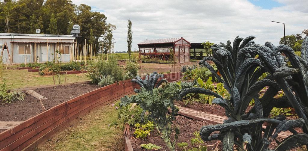 Terreno en Venta en San Andres de Giles, Buenos Aires Interior