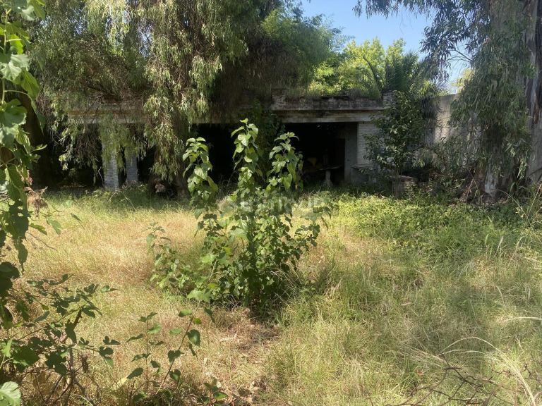 Terreno en Venta en Tigre, G.B.A. Zona Norte