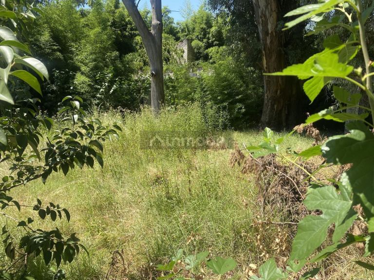 Terreno en Venta en Tigre, G.B.A. Zona Norte