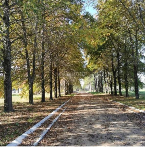 Terreno en Venta en Pilar, G.B.A. Zona Norte