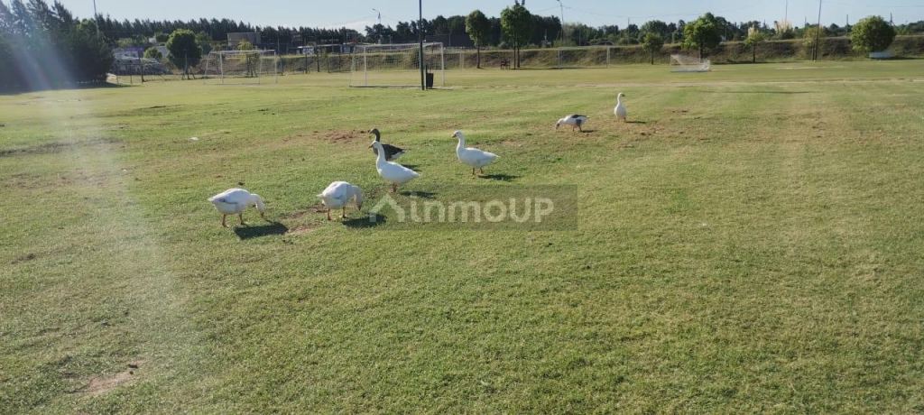 Terreno en Venta en Escobar, G.B.A. Zona Norte