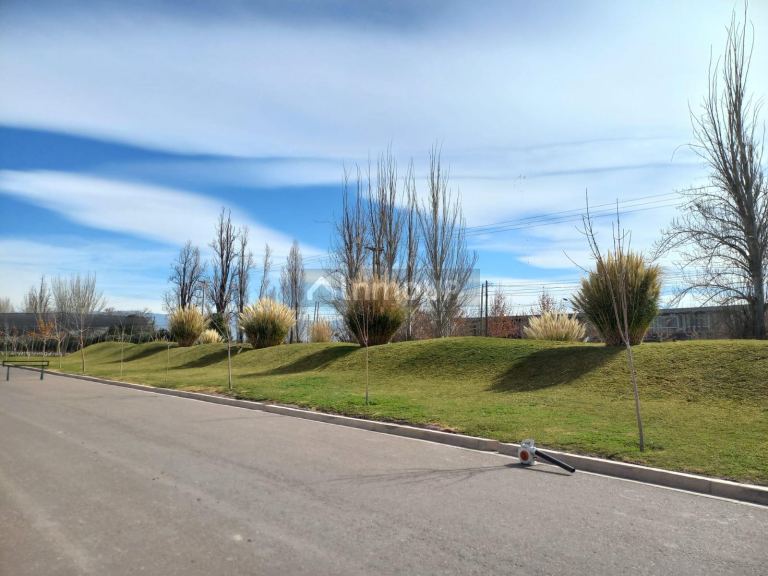 Lote en Venta en Lujan de Cuyo, Mendoza