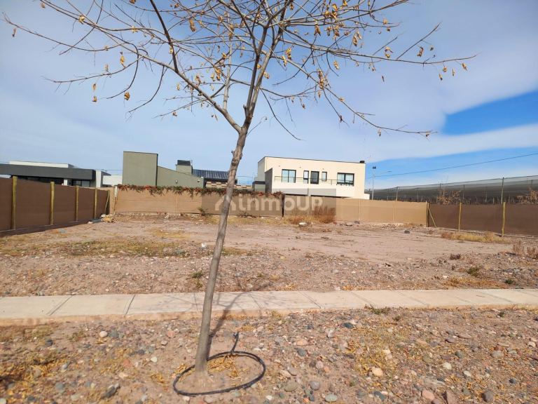 Lote en Venta en Lujan de Cuyo, Mendoza