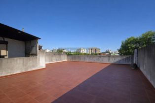 Flores Tandil  2917