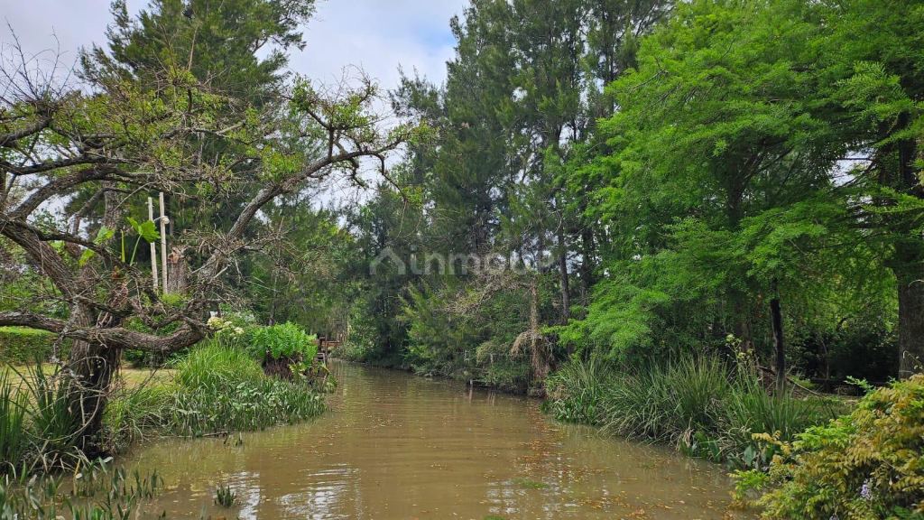 Terreno en Venta en Tigre, G.B.A. Zona Norte