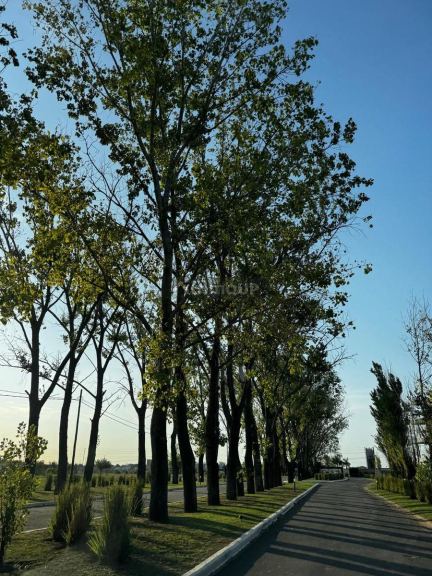 Terreno en Venta en Esteban Echeverria, G.B.A. Zona Sur