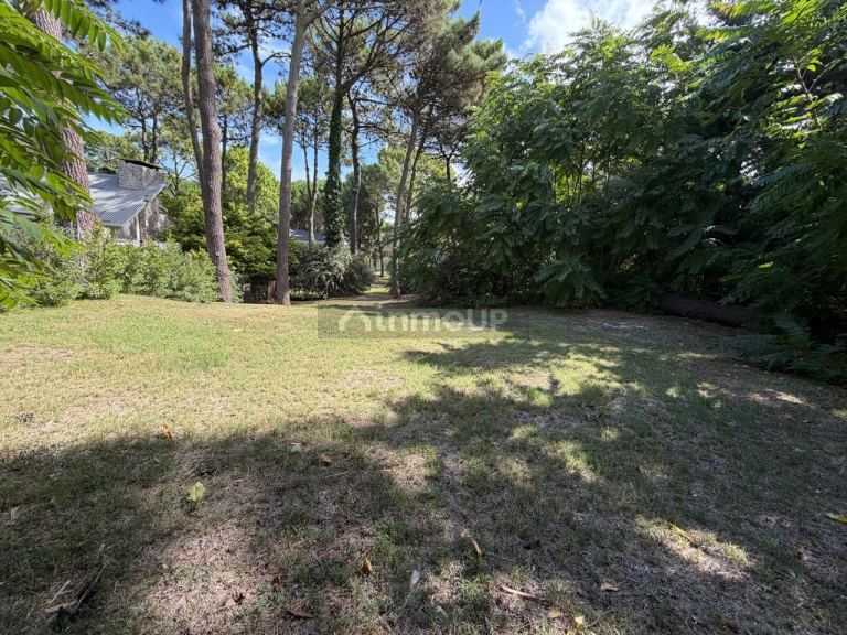 Terreno en Venta en Pinamar, Buenos Aires Costa Atlantica