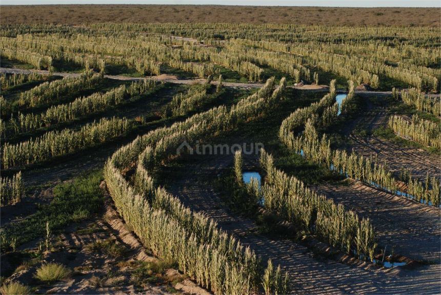 Casa en Venta en Biedma, Chubut