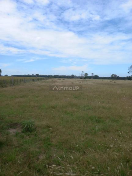 Campo en Venta en Exaltacion de la Cruz, G.B.A. Zona Norte