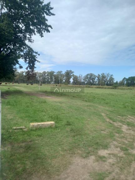 Campo en Venta en Exaltacion de la Cruz, G.B.A. Zona Norte