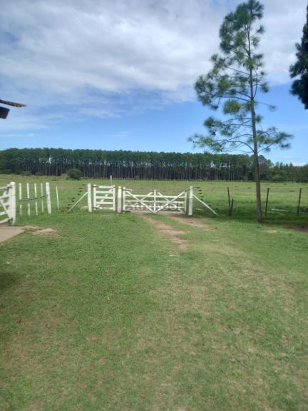 Campo en Venta en Exaltacion de la Cruz, G.B.A. Zona Norte