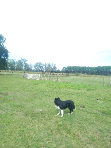 Campo en Venta en Exaltacion de la Cruz, G.B.A. Zona Norte