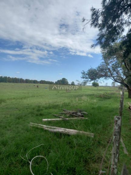 Campo en Venta en Exaltacion de la Cruz, G.B.A. Zona Norte