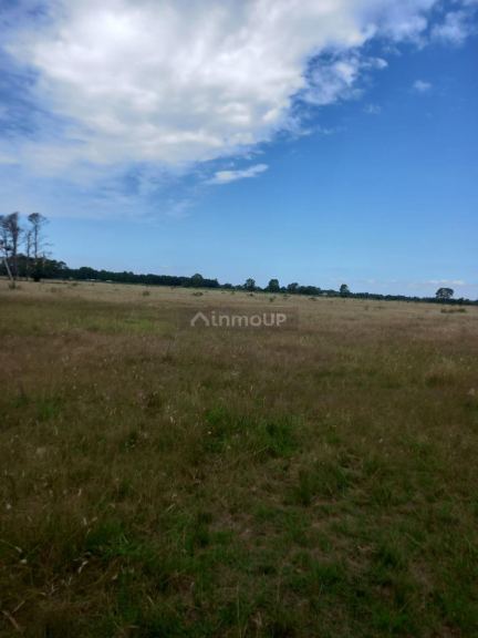 Campo en Venta en Exaltacion de la Cruz, G.B.A. Zona Norte