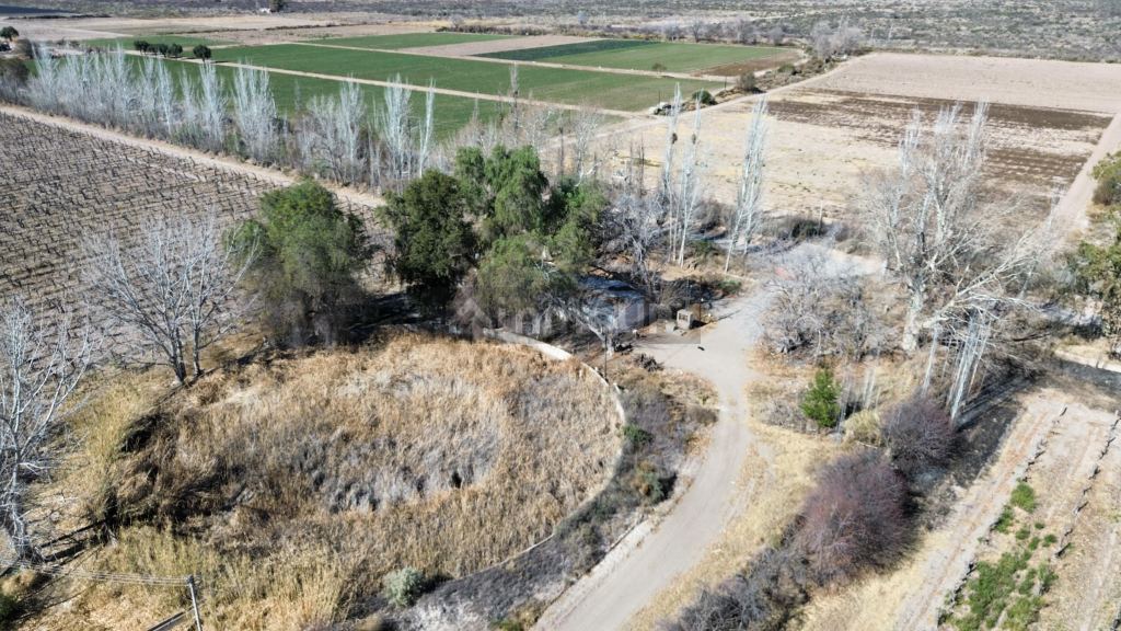Finca en Venta en San Martin, Mendoza
