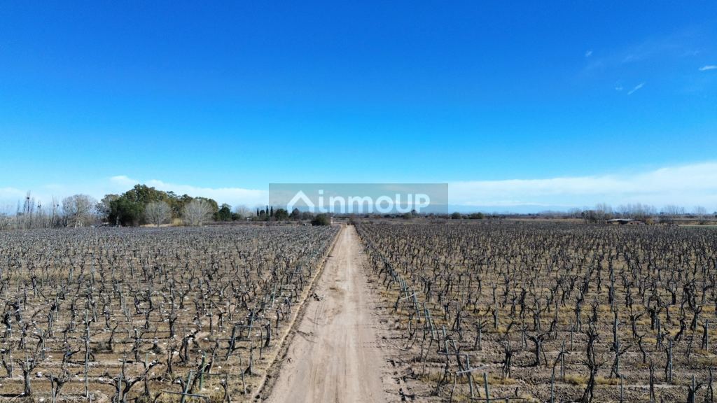 Finca en Venta en San Martin, Mendoza