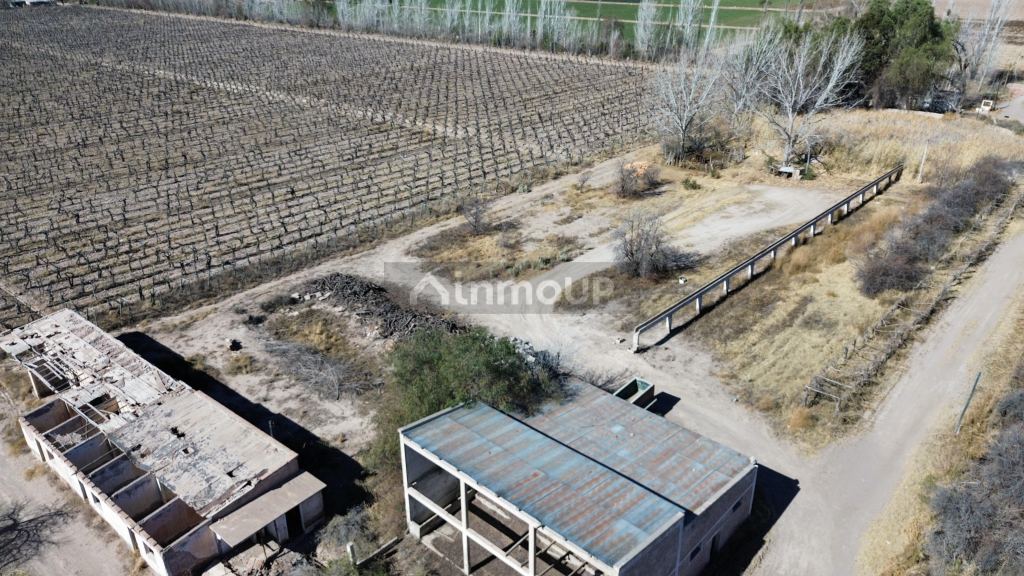 Finca en Venta en San Martin, Mendoza