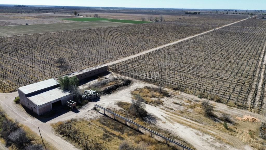 Finca en Venta en San Martin, Mendoza
