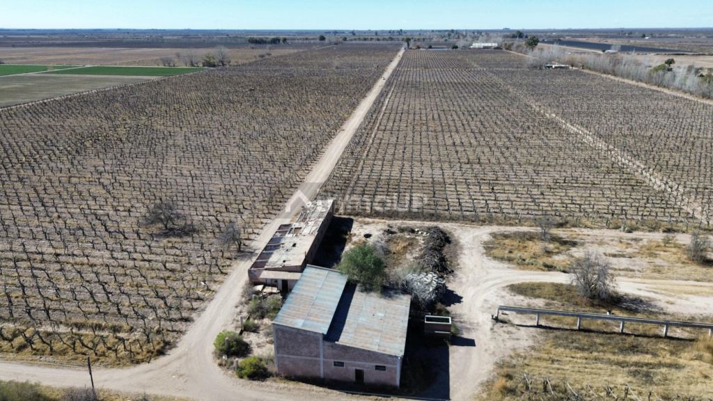 Finca en Venta en San Martin, Mendoza