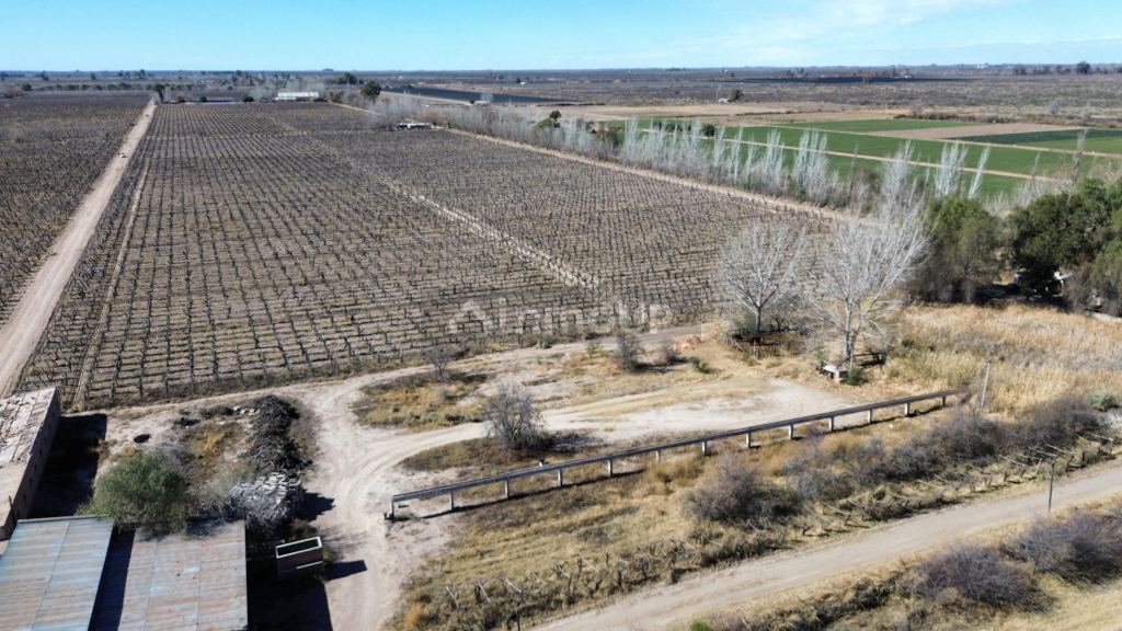 Finca en Venta en San Martin, Mendoza