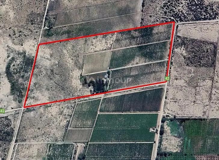 Finca en Venta en San Martin, Mendoza