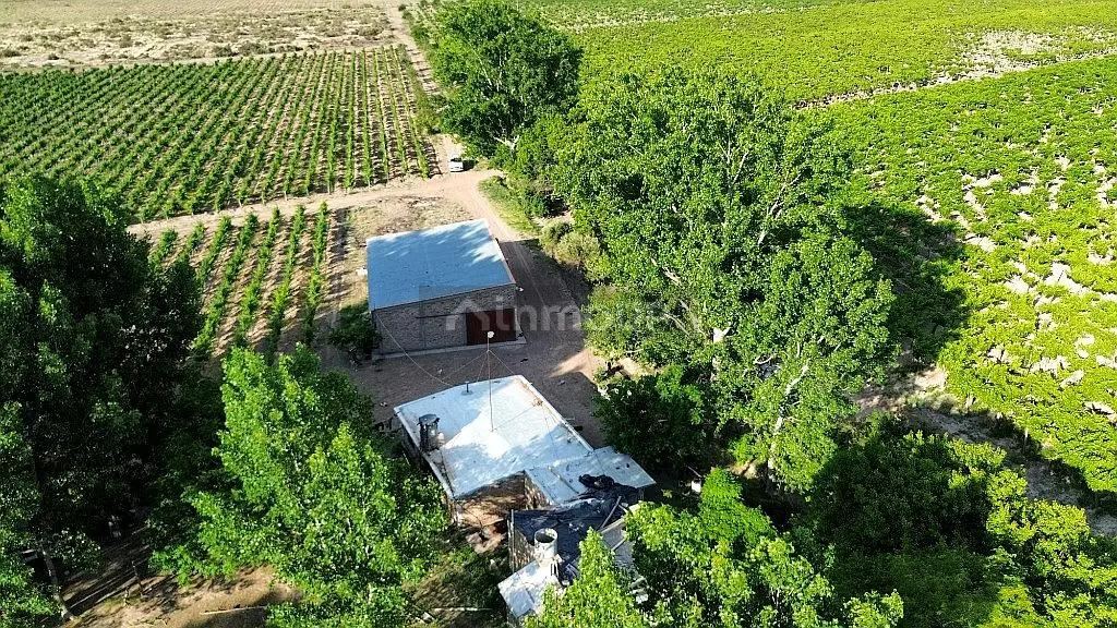 Finca en Venta en San Martin, Mendoza