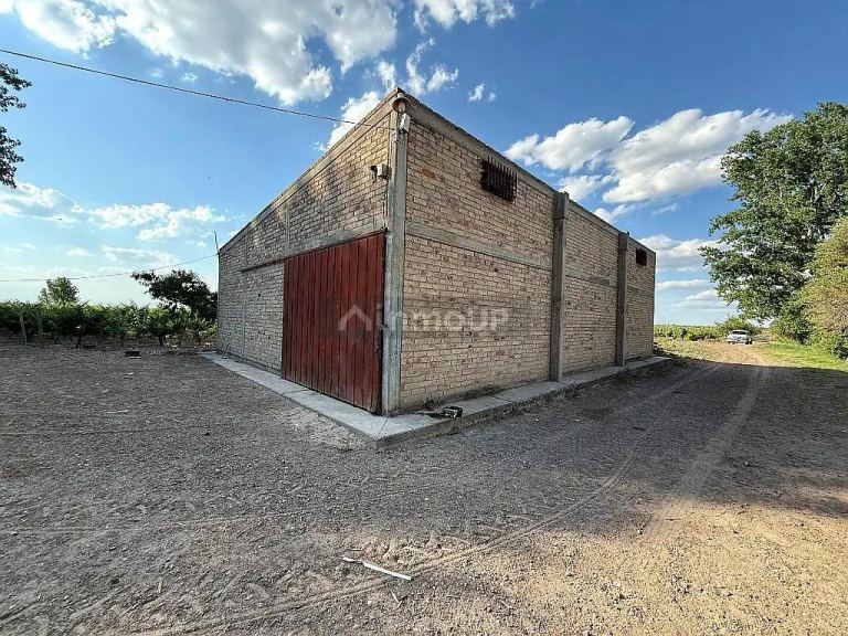 Finca en Venta en San Martin, Mendoza