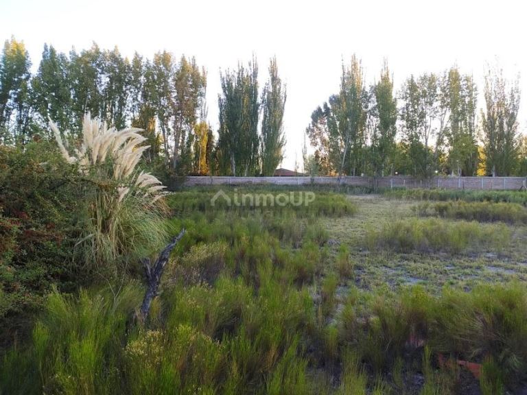 Lote en Venta en Maipu, Mendoza