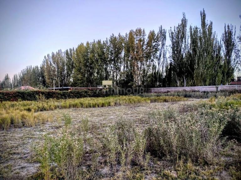 Lote en Venta en Maipu, Mendoza