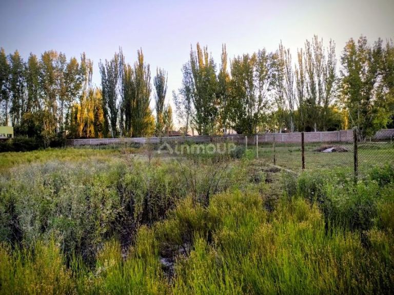 Lote en Venta en Maipu, Mendoza
