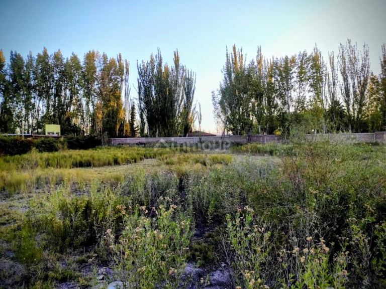 Lote en Venta en Maipu, Mendoza