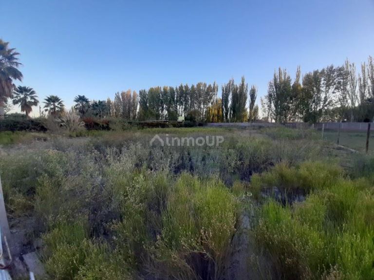 Lote en Venta en Maipu, Mendoza