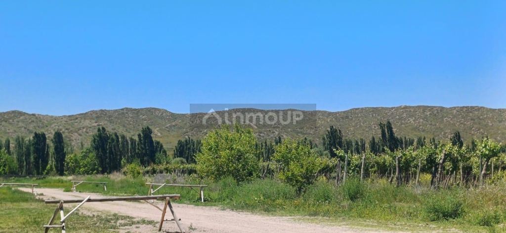 Lote en Venta en Lujan de Cuyo, Mendoza