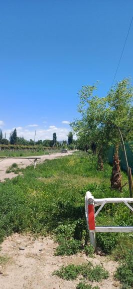 Lote en Venta en Lujan de Cuyo, Mendoza