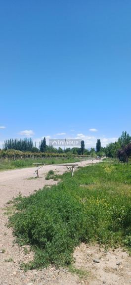 Lote en Venta en Lujan de Cuyo, Mendoza