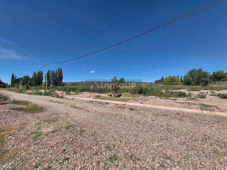 Lote en Venta en Lujan de Cuyo, Mendoza