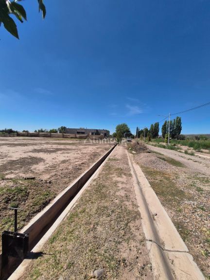 Lote en Venta en Lujan de Cuyo, Mendoza
