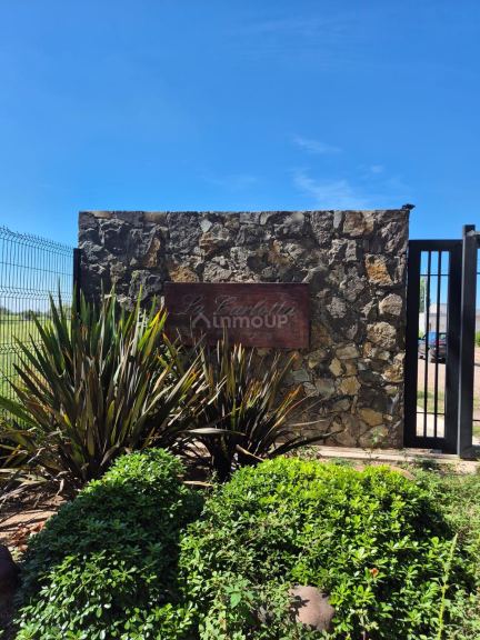 Lote en Venta en Lujan de Cuyo, Mendoza