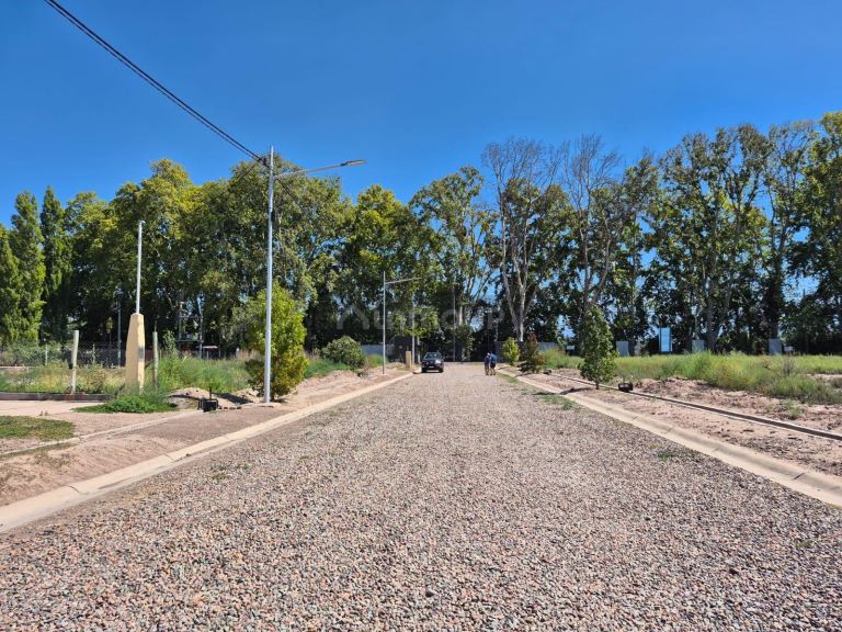 Lote en Venta en Lujan de Cuyo, Mendoza