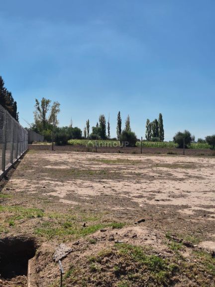 Lote en Venta en Lujan de Cuyo, Mendoza