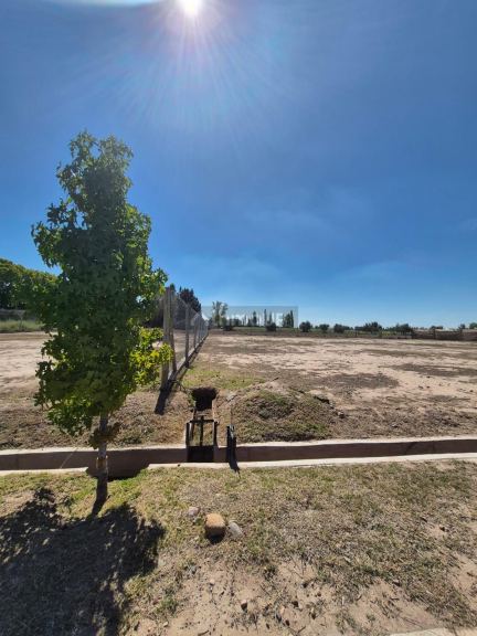 Lote en Venta en Lujan de Cuyo, Mendoza