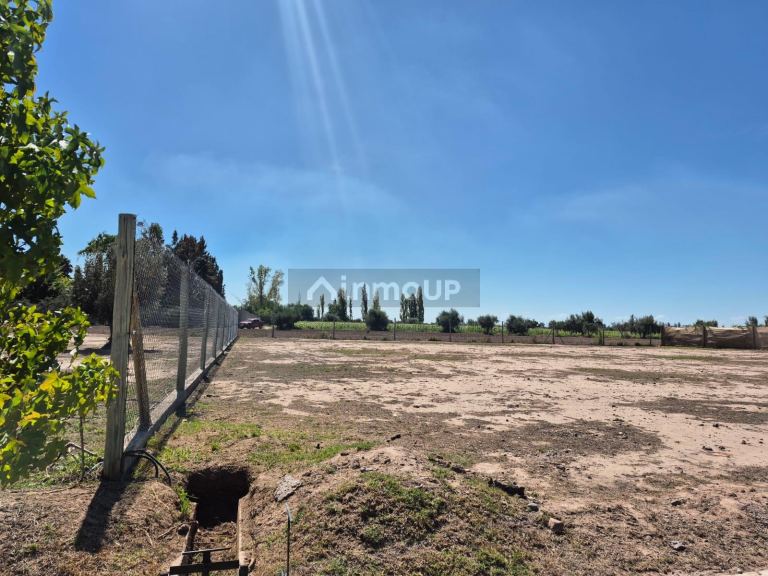 Lote en Venta en Lujan de Cuyo, Mendoza